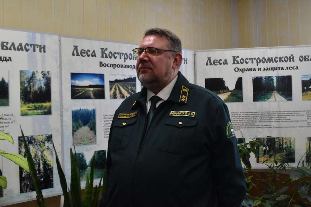 Костромская область удерживает первенство в ЦФО по защите лесов от пожаров и лесовосстановлению