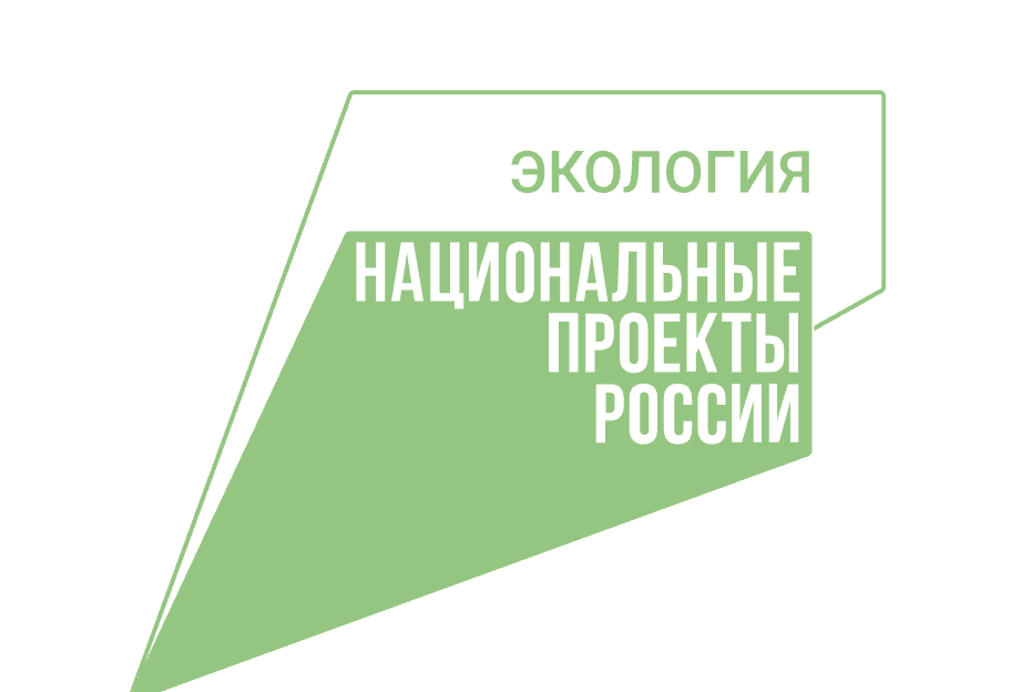 В Мордовии обсудили выполнение нацпроекта по сохранению лесов