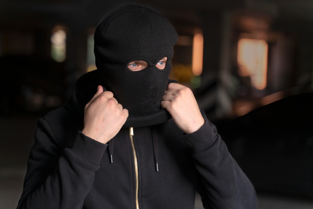 В Липецкой области наказали вора, ограбившего школу