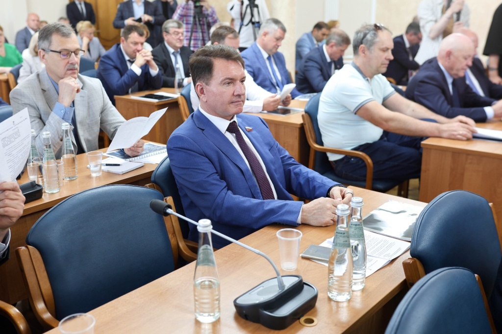 Мэр Воронежа Сергей Петрин выступил перед депутатами гордумы с докладом о проделанной работе за прошлый год