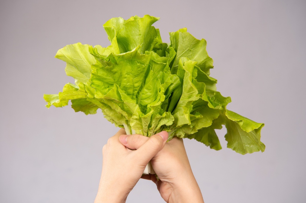 Кулинарные открытия для детей: в Казани появилась интерактивная станция профессий пищевой индустрии