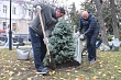 Сергей Петрин: «Озеленение города активно продолжаем и после завершения месячника благоустройства»